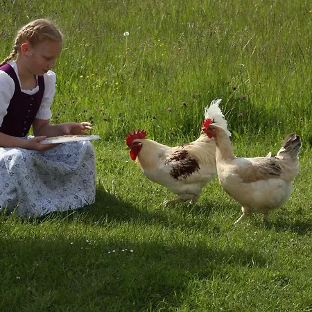 Beim Lenglacher Lantgård *