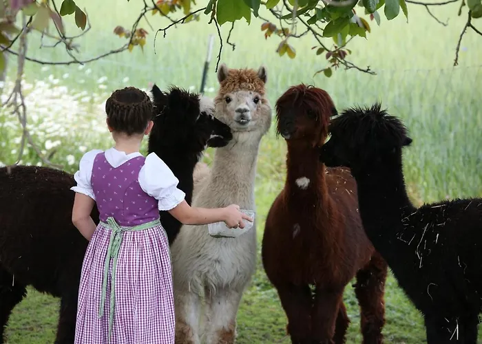 Beim Lenglacher *