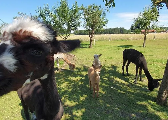 Beim Lenglacher 切明