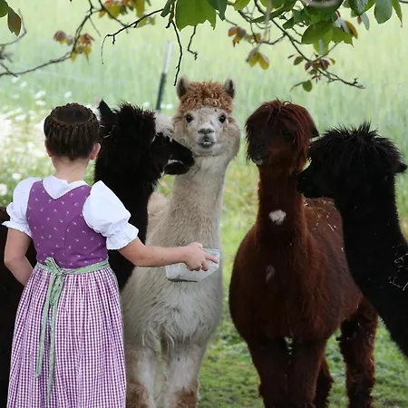 Beim Lenglacher *